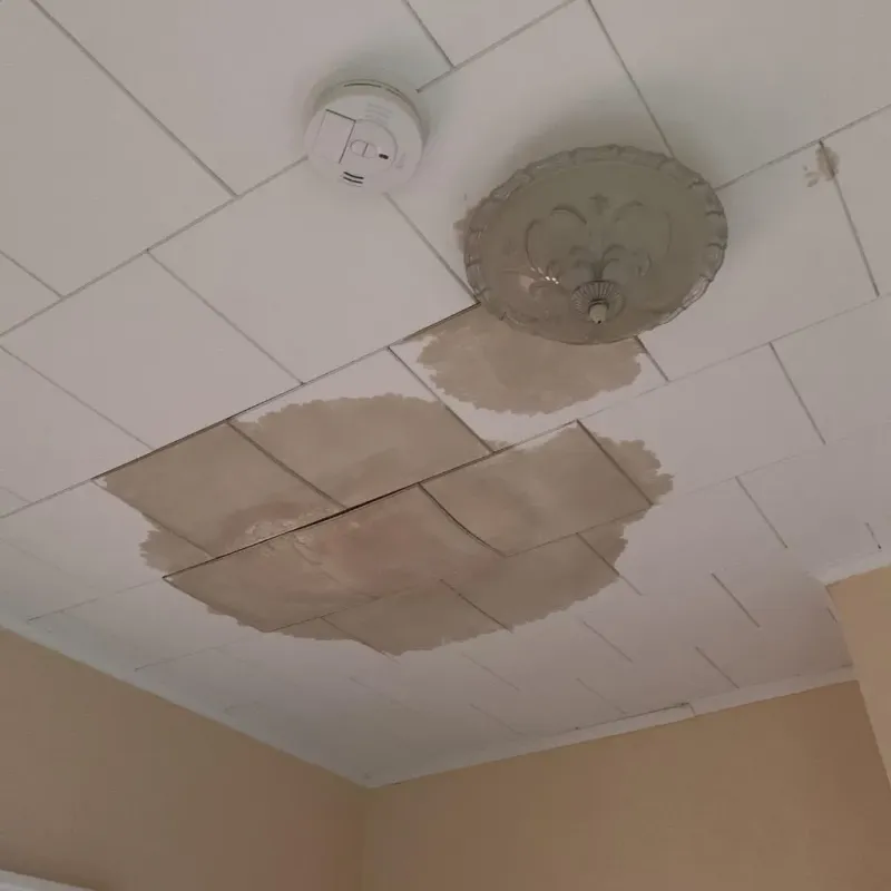 Ceiling Water Damage Repair in Dunstable, MA