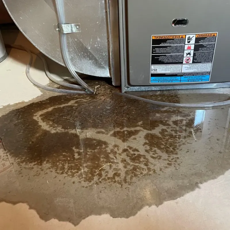 Pipe Burst and Leak Restoration in Dunstable, MA