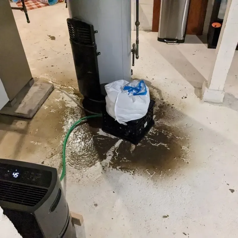 Sewage Backup Cleanup Service in Dunstable, MA
